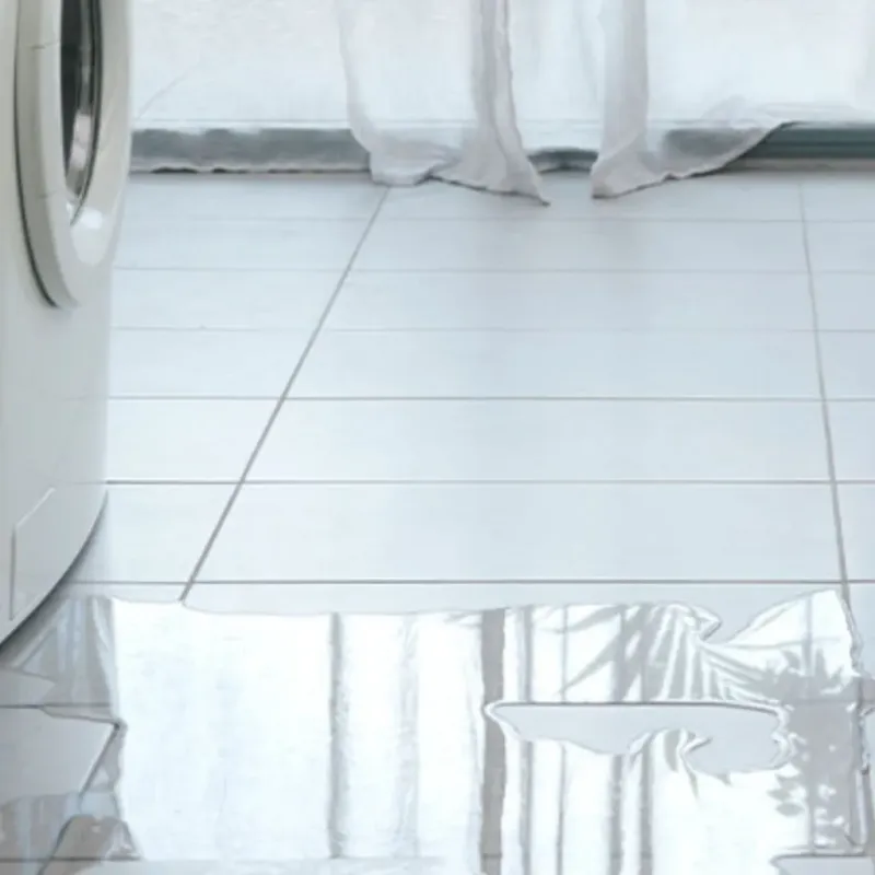 Appliance Leak Cleanup in Elk Grove Village, IL