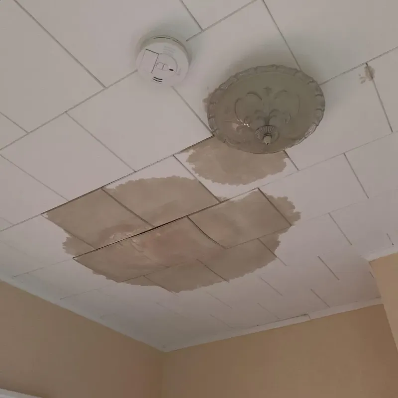 Ceiling Water Damage Repair in Elk Grove Village, IL